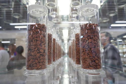 廣東一方制藥 創新中藥配方顆粒，科技賦能傳統智慧