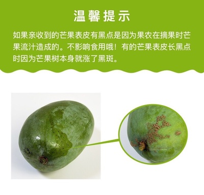 海南芒果 炎夏熱土的真“忙”事，甜蜜誘惑讓人欲不能停！